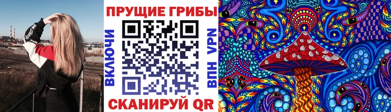 Псилоцибиновые грибы GOLDEN TEACHER  Хасавюрт 