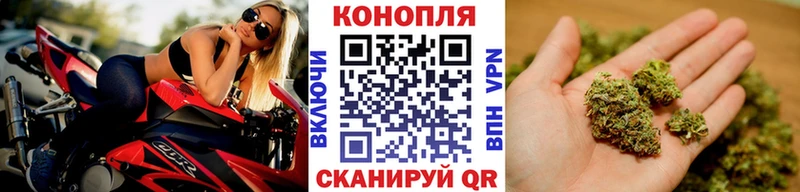 Шишки марихуана Amnesia  маркетплейс наркотические препараты  Хасавюрт  blacksprut ТОР 